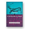 Arta si comunicare - Adrian Leonard Mociulschi